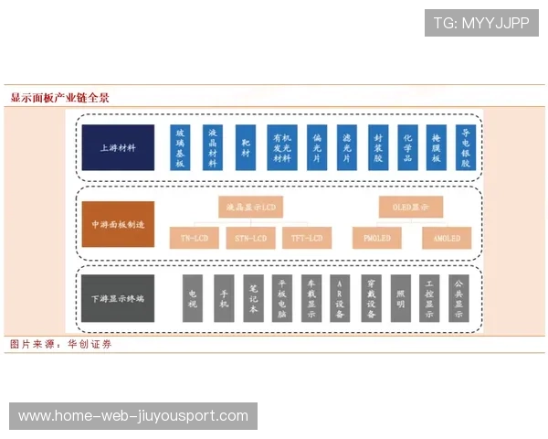 体育自媒体联盟成立促进资源共享,自媒体体育领域 体育自媒体联盟成立促进资源共享,自媒体体育领域